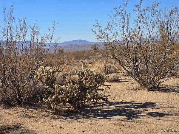38.3 Acres of Recreational Land for Sale in Yucca, Arizona