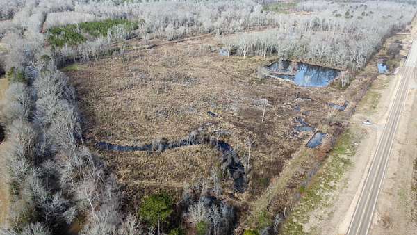 37 Acres of Recreational Land for Sale in Lena, Mississippi