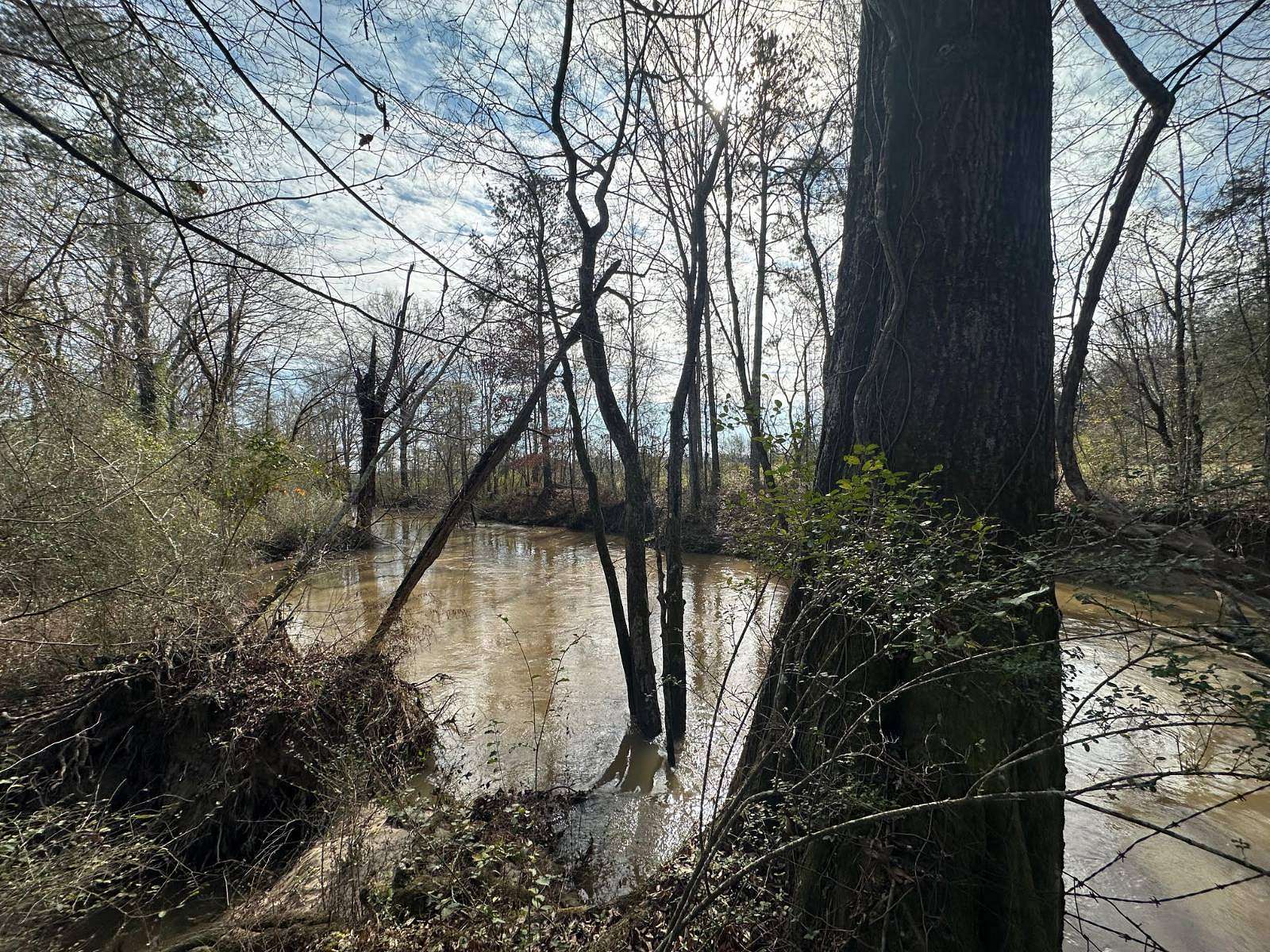 55 Acres of Recreational Land for Sale in Forest, Mississippi