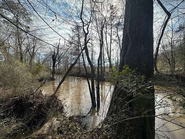 55 Acres of Recreational Land for Sale in Forest, Mississippi
