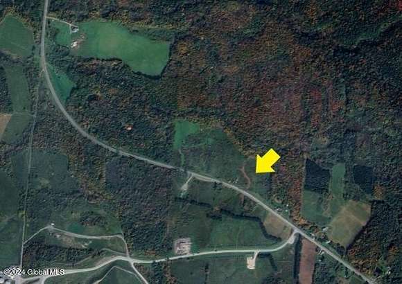 18.4 Acres of Land for Sale in Rodman, New York