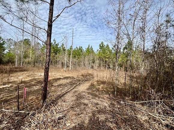 1 Acre of Residential Land for Sale in Tylertown, Mississippi