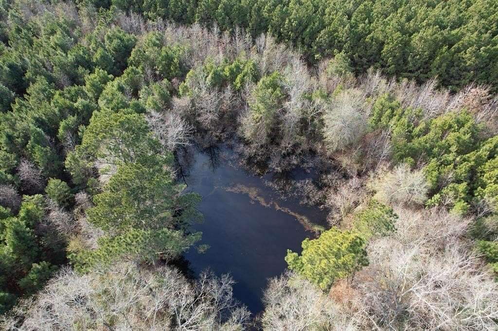 12.2 Acres of Recreational Land for Sale in Timpson, Texas