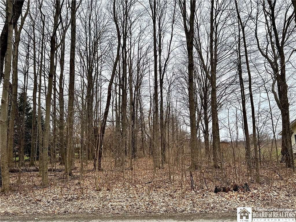 1 Acre of Land for Sale in Dunkirk, New York