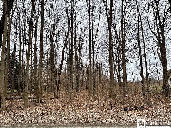 1 Acre of Land for Sale in Dunkirk, New York