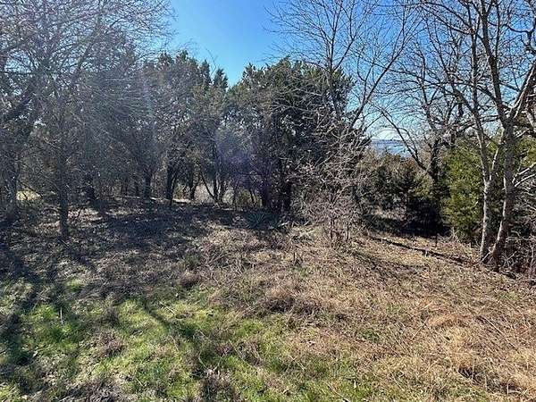 0.23 Acres of Residential Land for Sale in Whitney, Texas