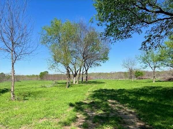 66.6 Acres of Land for Sale in Wills Point, Texas