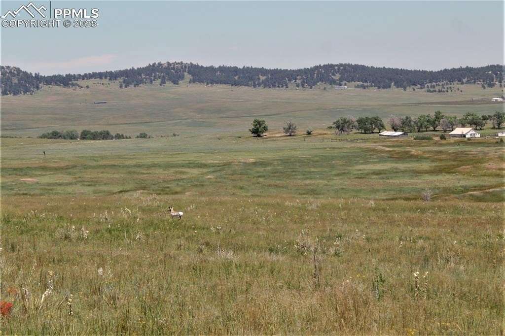 40.4 Acres of Agricultural Land for Sale in Calhan, Colorado