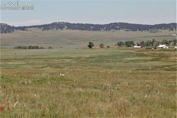 40.4 Acres of Agricultural Land for Sale in Calhan, Colorado
