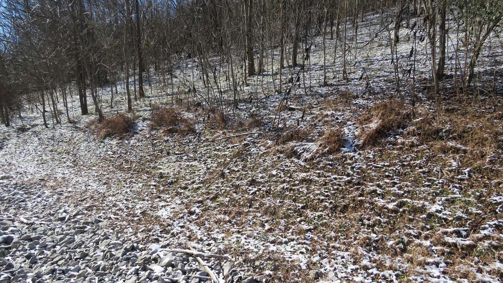 0.76 Acres of Residential Land for Sale in Smithville, Tennessee