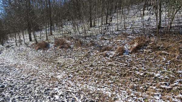 0.76 Acres of Residential Land for Sale in Smithville, Tennessee