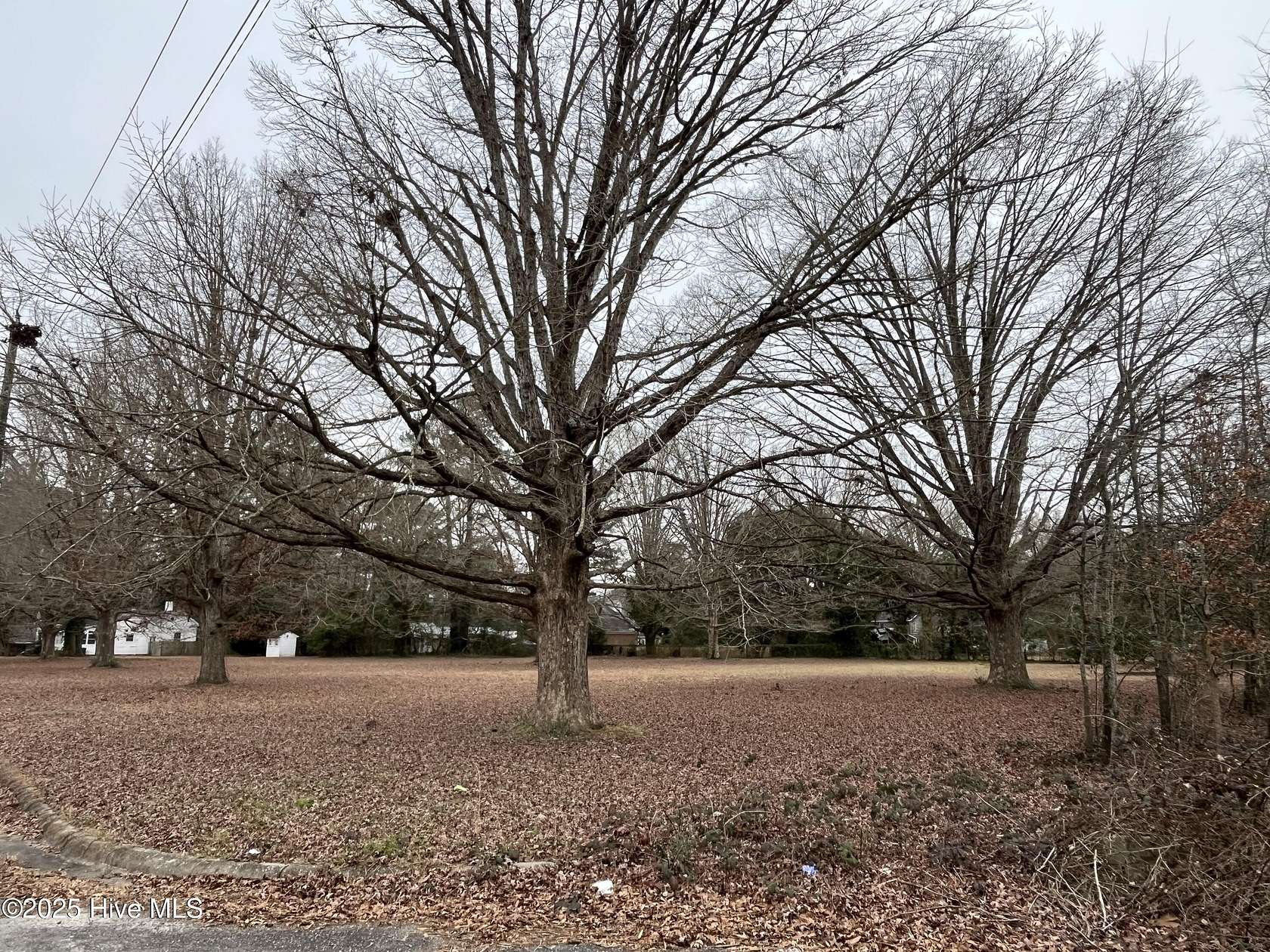 1.2 Acres of Residential Land for Sale in Laurinburg, North Carolina