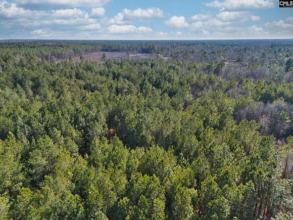 13.54 Acres of Land for Sale in Wedgefield, South Carolina