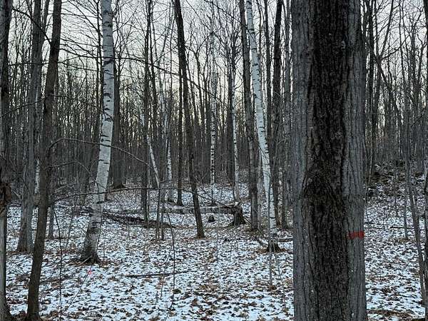 20 Acres of Recreational Land for Sale in Brussels, Wisconsin