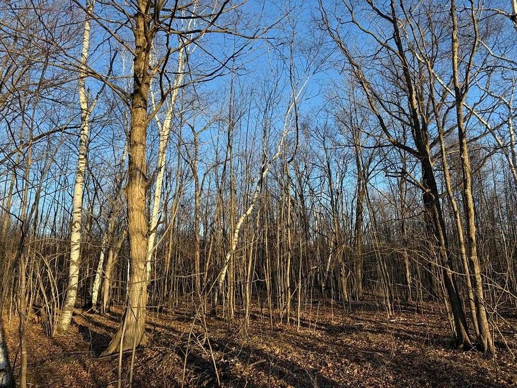 36.2 Acres of Recreational & Residential Land for Sale in Brussels, Wisconsin