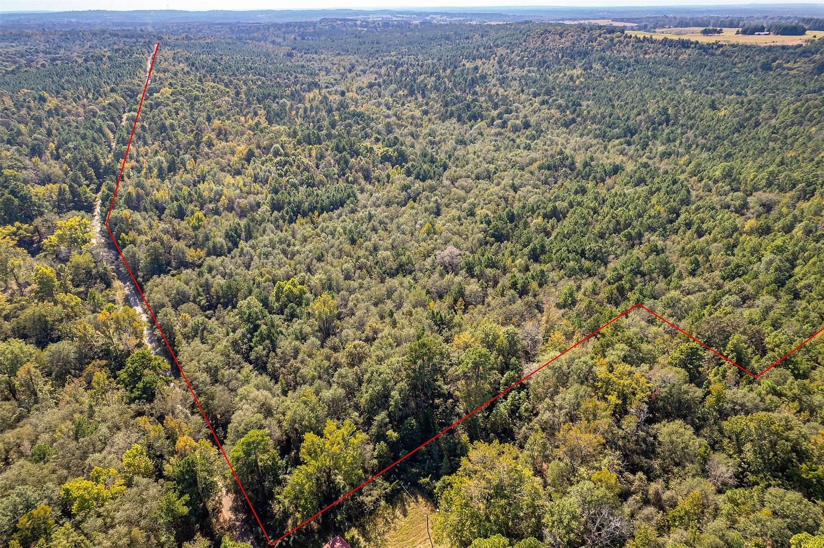 85 Acres of Recreational & Residential Land for Sale in Winona, Texas