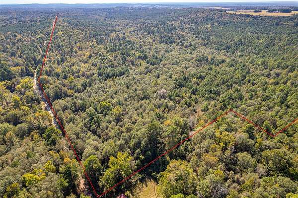 85 Acres of Recreational & Residential Land for Sale in Winona, Texas