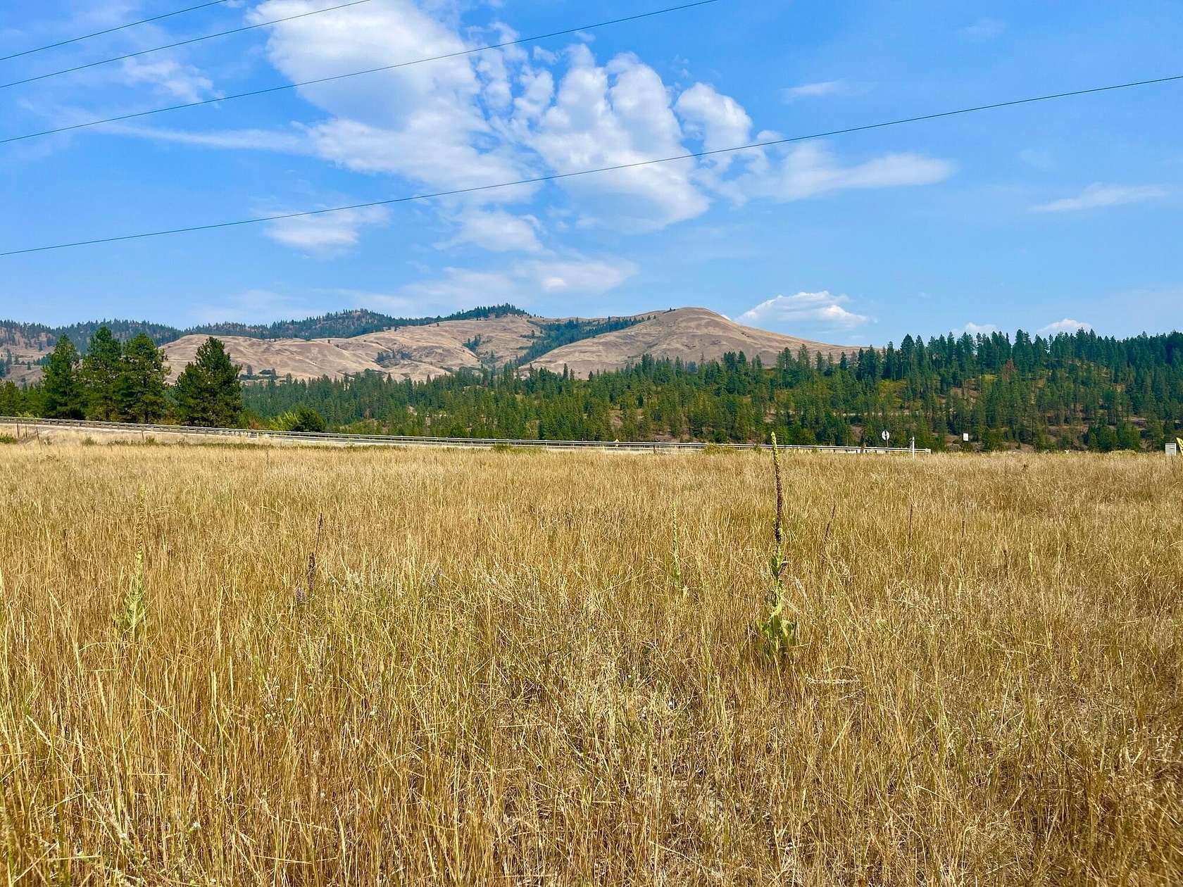 46.6 Acres of Land for Sale in Kettle Falls, Washington