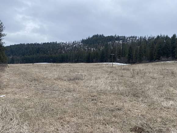 46.6 Acres of Land for Sale in Kettle Falls, Washington