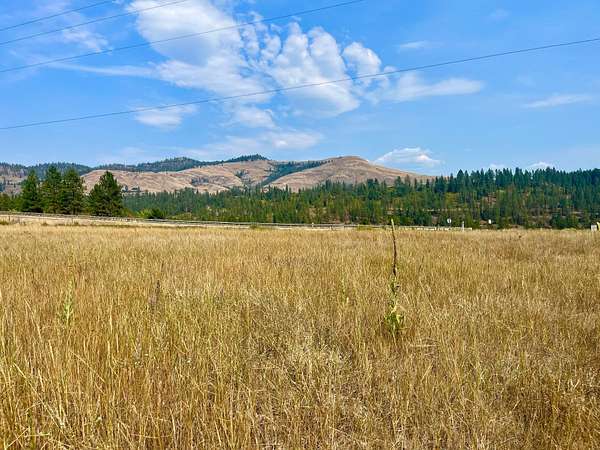 46.6 Acres of Land for Sale in Kettle Falls, Washington