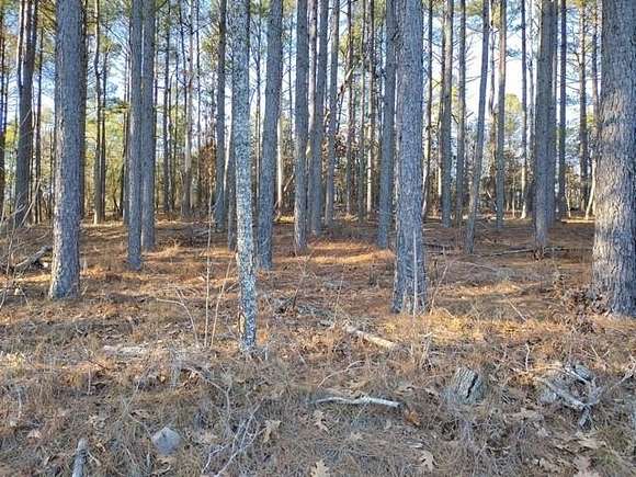 0.42 Acres of Residential Land for Sale in Hot Springs Village, Arkansas