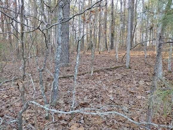 0.33 Acres of Residential Land for Sale in Hot Springs Village, Arkansas