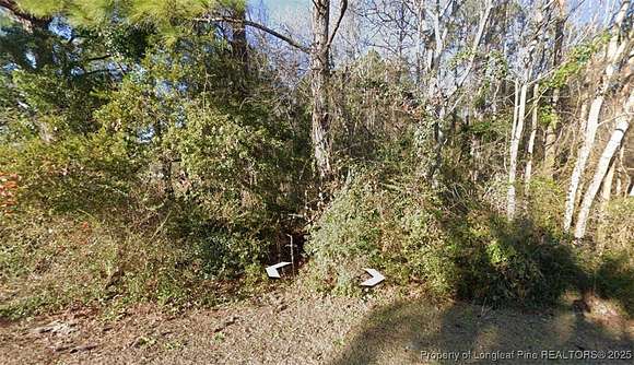 0.25 Acres of Residential Land for Sale in Sneads Ferry, North Carolina