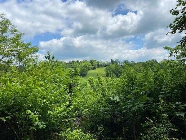 96 Acres of Land for Sale in Falmouth, Kentucky