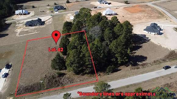 1 Acre of Residential Land for Sale in Tatum, Texas