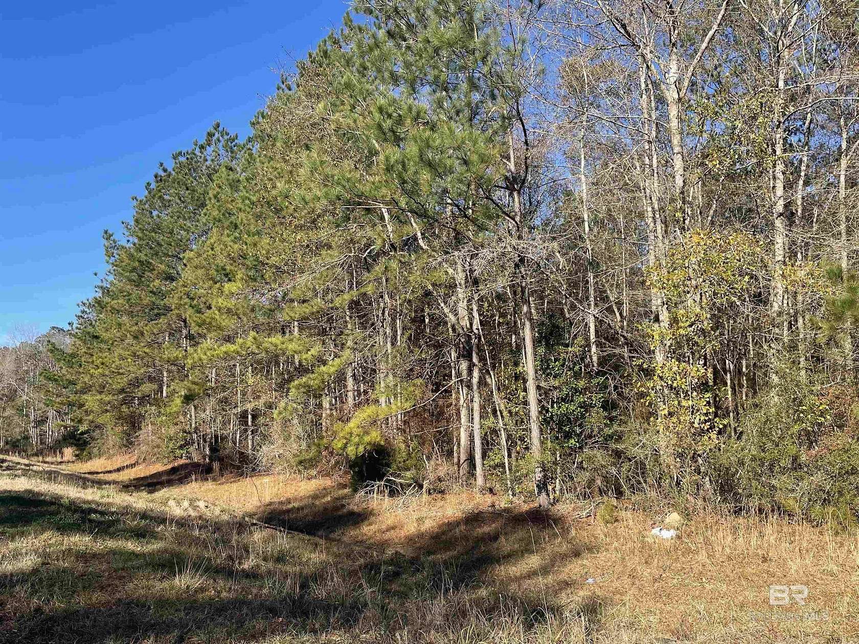 5 Acres of Residential Land for Sale in Brewton, Alabama