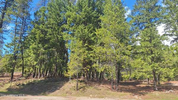 0.31 Acres of Residential Land for Sale in Blanchard, Idaho