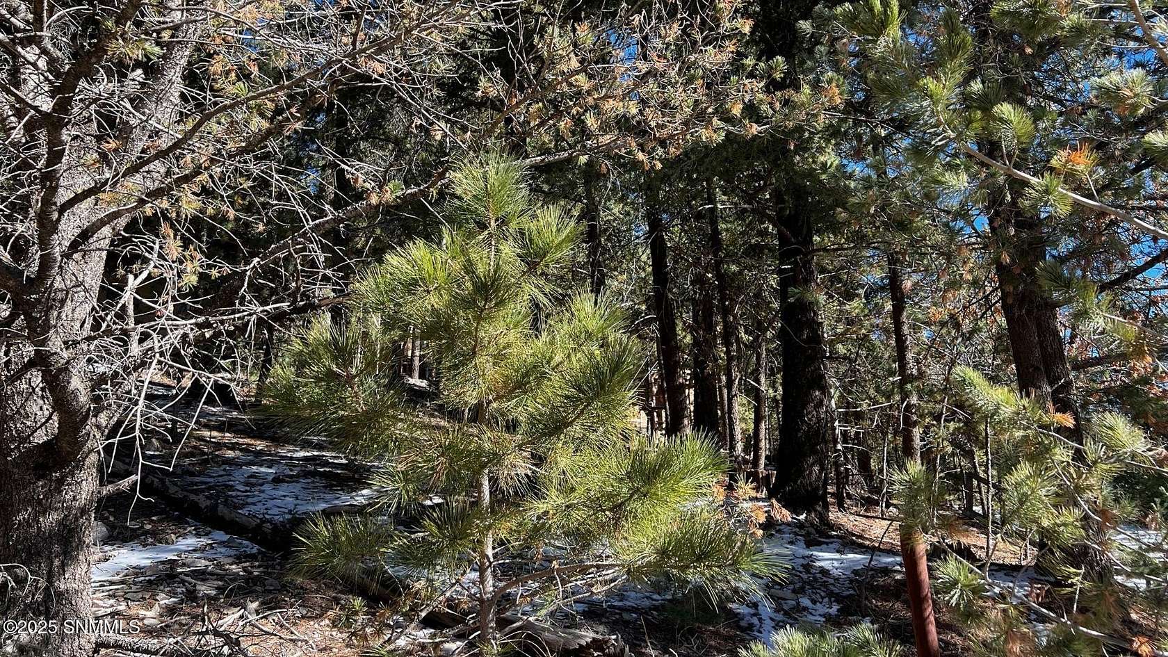 0.46 Acres of Residential Land for Sale in Cloudcroft, New Mexico