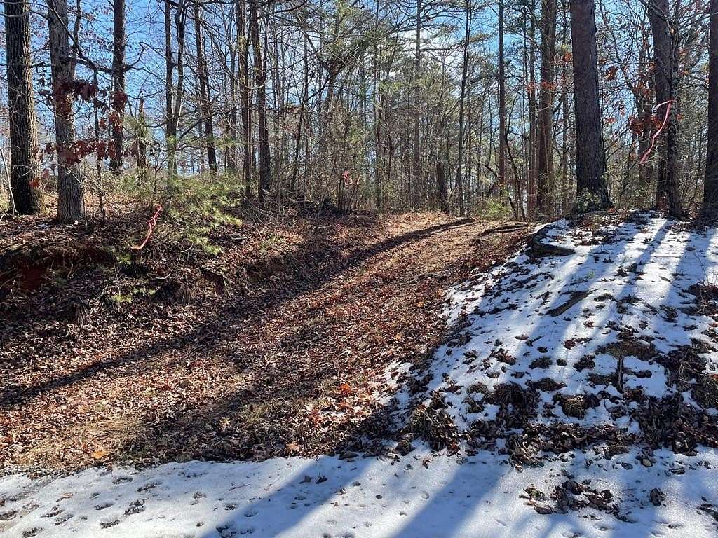 11 Acres of Recreational & Residential Land for Sale in Talking Rock, Georgia