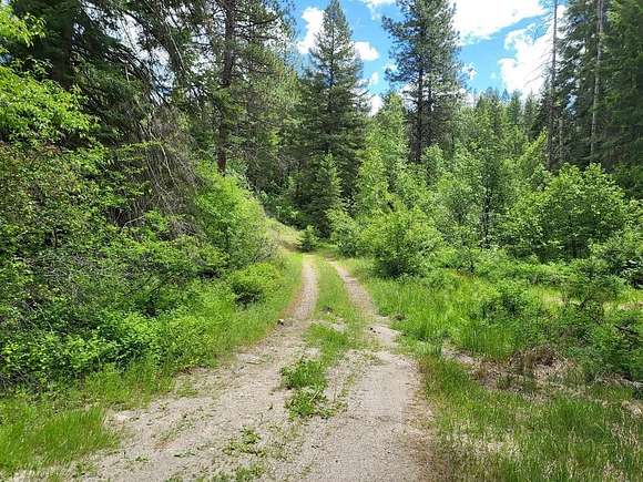 10 Acres of Recreational Land for Sale in Springdale, Washington