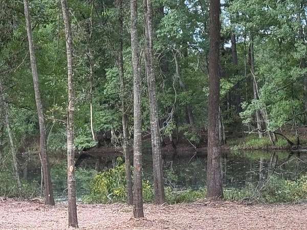 10.3 Acres of Land for Sale in Shelbyville, Texas
