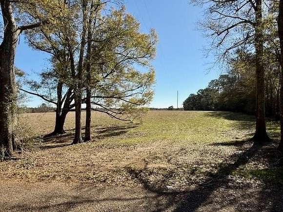 7.49 Acres of Residential Land for Sale in Tylertown, Mississippi