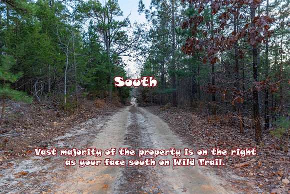 70 Acres of Recreational Land for Sale in Bexar, Arkansas