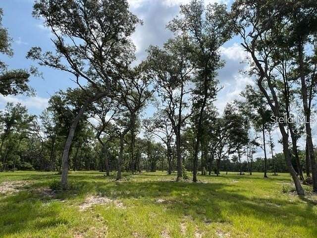 10.3 Acres of Land for Sale in Ocala, Florida