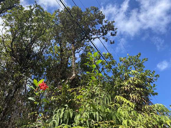 2 Acres of Residential Land for Sale in Mountain View, Hawaii