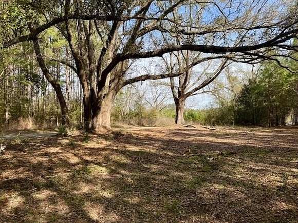 65 Acres of Recreational Land & Farm for Sale in Sandy Hook, Mississippi