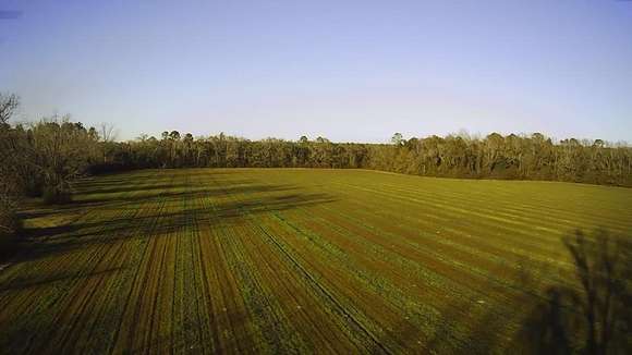 20.5 Acres of Agricultural Land for Sale in Coolidge, Georgia