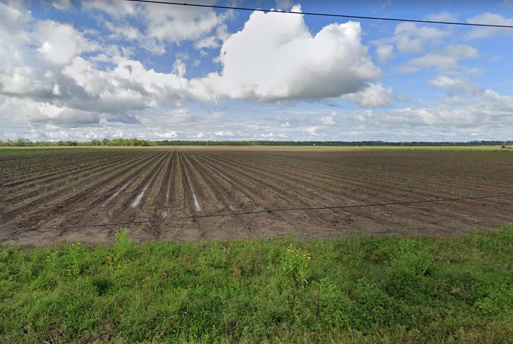 872 Acres of Land for Sale in Lockport, Louisiana