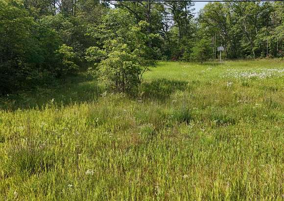 1.13 Acres of Residential Land for Sale in Baldwin, Michigan