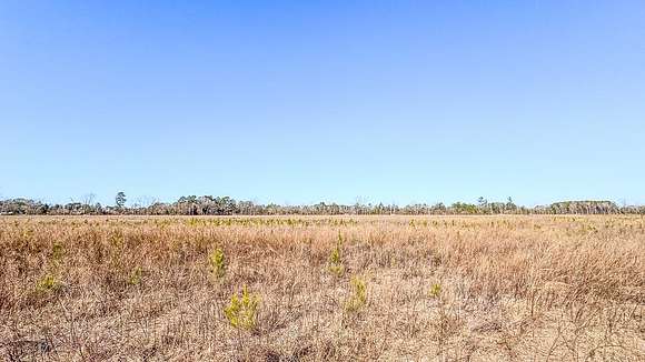 36 Acres of Commercial Land for Sale in Statesboro, Georgia