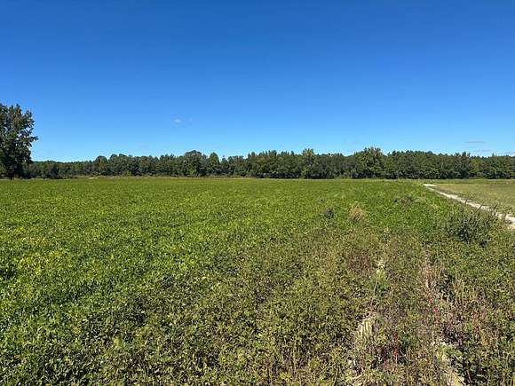 48.5 Acres of Land for Sale in Robersonville, North Carolina