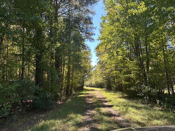 68.5 Acres of Recreational Land for Sale in Robersonville, North Carolina