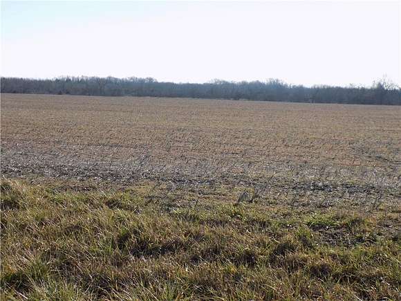 57 Acres of Agricultural Land for Sale in Kincaid, Kansas