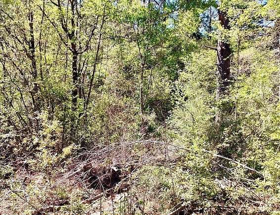 0.23 Acres of Residential Land for Sale in Lumberton, Mississippi