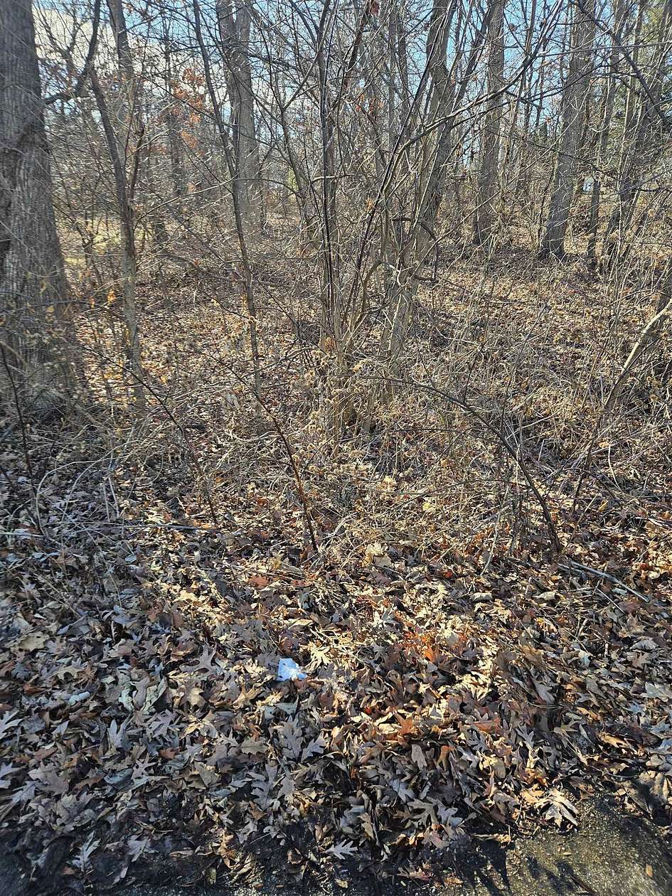 0.37 Acres of Residential Land for Sale in Lake Summerset, Illinois