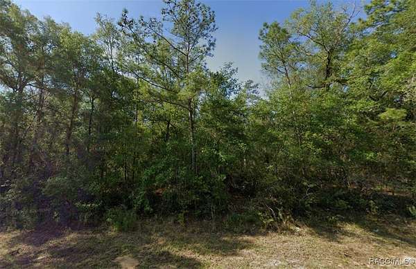 0.23 Acres of Residential Land for Sale in Dunnellon, Florida